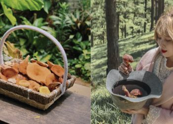 Hái nấm ở rừng thông: Trải nghiệm lý thú mà các gia đình nhất định phải thử vào mùa mưa tại Đà Lạt