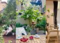 Mua biệt thự 10 tỷ ở ngoại ô, trồng hoa và cây ăn trái bao quanh