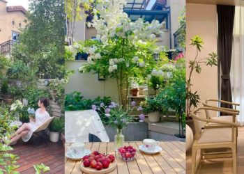 Mua biệt thự 10 tỷ ở ngoại ô, trồng hoa và cây ăn trái bao quanh