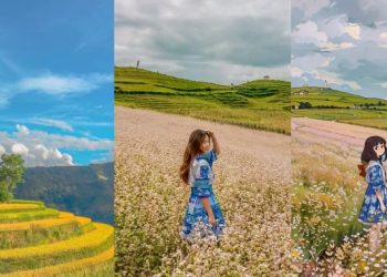 Các gia đình săn tìm thảo nguyên hồng, ngỡ nơi xa nhưng nằm trên cung đường khám phá vùng địa đầu Tổ quốc