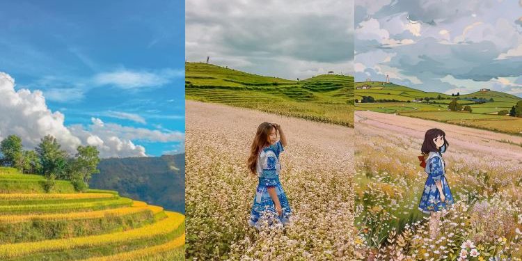 Các gia đình săn tìm thảo nguyên hồng, ngỡ nơi xa nhưng nằm trên cung đường khám phá vùng địa đầu Tổ quốc