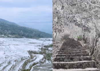 Con đường băng tuyết trắng xoá ngay tại Việt Nam khiến nhiều người bất ngờ, lập tức ‘truy lùng’ địa điểm