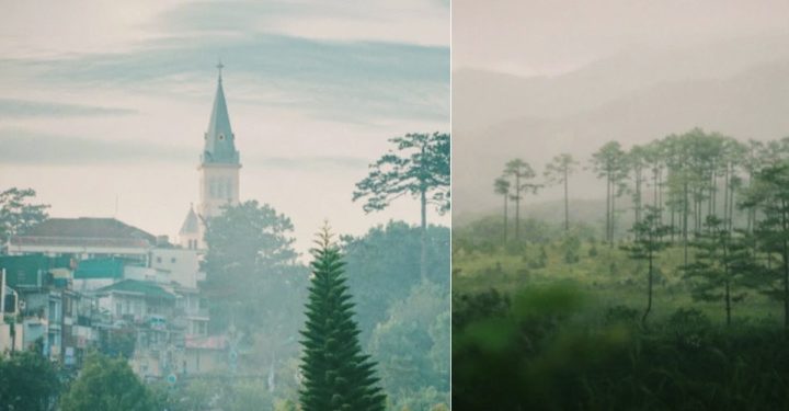 Đi Đà Lạt mùa này đã như cuối năm: Ra đường chả khác gì lập đông, săn mây lại dễ đến thế